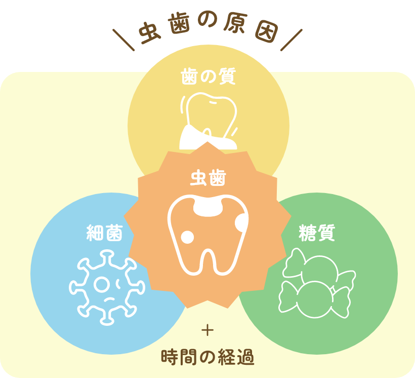 虫歯の原因